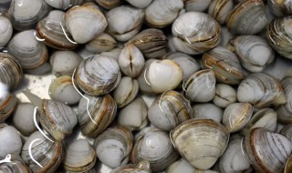 黄蚬子煮多长时间 大黄蚬子煮多长时间