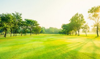 阳光正能量善良句子 阳光善良的正能量句子大全