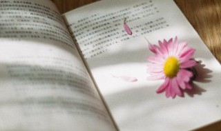 非同凡响解释 非同凡响的意思是什么