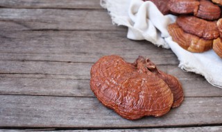 灵芝用不用清洗干净 食用灵芝用不用清洗