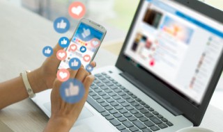 卡尔刺猬是什么梗 卡尔刺猬的解释