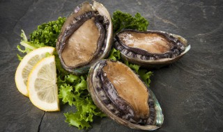 鲍鱼怎样清洗最干净 如何清洗鲍鱼洗干净