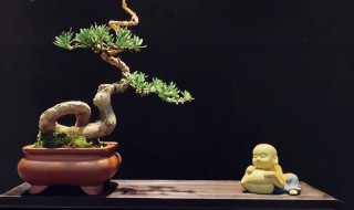 欣赏的意思是什么 关于欣赏的意思介绍