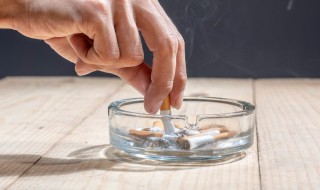 烟灰可以当肥料养花 烟灰可以当肥料养花吗