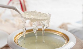 如何炖燕窝 怎样炖燕窝