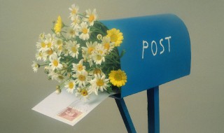 邮箱号是多少 邮箱号介绍