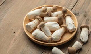 杏鲍菇可以和黄瓜一起炒吗 能不能一起吃杏鲍菇和黄瓜