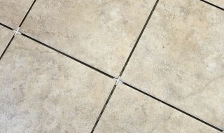 地板砖缝隙有很多蚂蚁出来怎么办 地板砖缝隙有很多蚂蚁出来的解决方法