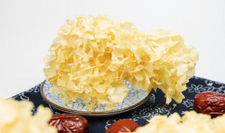 银耳和牛奶可以一起吃吗 牛奶和银耳一起能吃吗