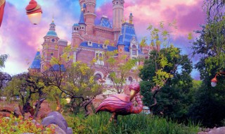 迪士尼酒店攻略 关于迪士尼酒店攻略