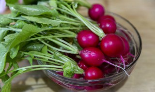 理气的食物 理气的食物有哪些