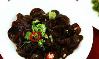 麻腐凉拌要不要水里煮一下 麻腐凉拌要水里煮一下吗