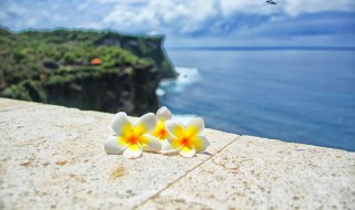 西溪湿地如何预约 预约西溪湿地操作步骤