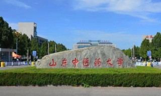 山东省中医药大学简介 山东省中医药大学介绍
