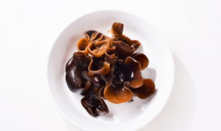 木耳苦瓜能一起吃吗 木耳苦瓜能不能一起吃