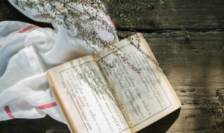 顶梁柱意思 顶梁柱百科介绍