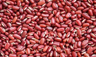 红豆和赤小豆能一起煮吗 红豆和赤小豆能不能一起煮