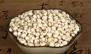 川贝加什么煮止咳快 川贝加什么煮止咳快一点