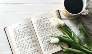 阿姨的拼音 阿姨的解释