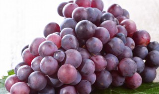 如何自酿葡萄酒制作方法 如何自酿葡萄酒