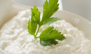 双奶皮的制作方法 双皮奶的制作方法介绍