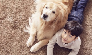 94属什么生肖 1994年属什么生肖