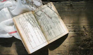 霜桑叶的功效与作用及禁忌 霜桑叶的简介