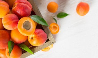 杏功效与作用及禁忌 杏功效以及注意事项