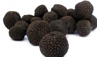 怎样清洗黑松露 清洗黑松露的方法