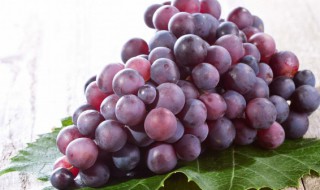 葡萄酒的制作方法冰糖 怎么用冰糖弄葡萄酒