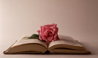 忠厚的近义词 忠厚的含义