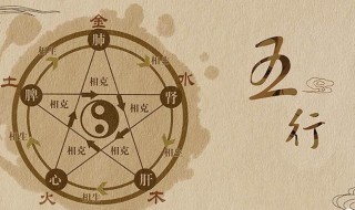 怎么看五行属什么命 怎么看五行属啥