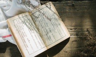 冰心的短诗有哪些 冰心的短诗