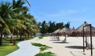 放鸡岛攻略 放鸡岛攻略是怎样的