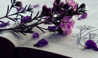 心态每日正能量激励短语 正能量善良有爱心短句