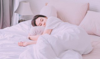 梦到养猫 梦到猫是什么意思