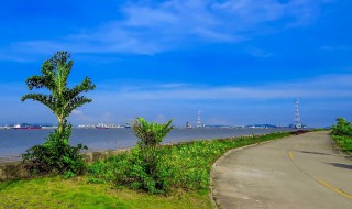 海鸥岛攻略 广州海鸥岛攻略是什么