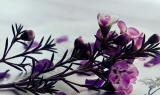 微商早安励志微博 励志早安语录的微博