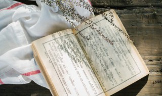 附和拼音 附和拼音是什么