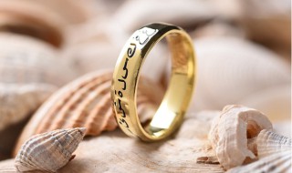 Ring什么意思 Ring英语翻译