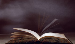 维妙维肖是什么意思 维妙维肖的意思