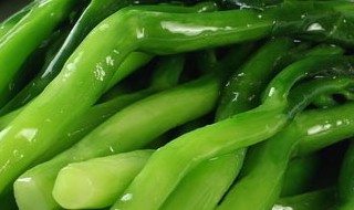 大粗芥兰的做法大全 大粗芥兰怎么做才好吃