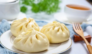 包子馒头的做法和配料 有关包子馒头的做法和配料