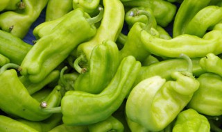 辣椒怎样才能吃 辣椒如何吃