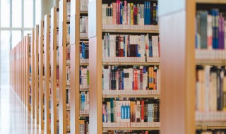 雄伟的伟是什么意思 雄伟的伟含义