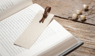 好读书不求甚解的意思 好读书不求甚解的原文及翻译