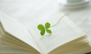 长相思解释和意思 长相思的原文是什么