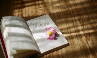 勿以身贵而贱人什么意思 勿以身贵而贱人的解释