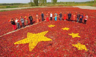 怎么把照片和国旗拼一起 给你个小妙招