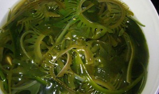 泡海带的做法 泡海带怎么做